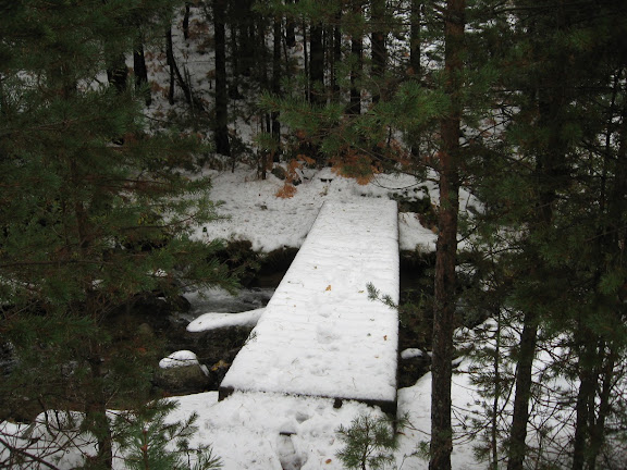 Puente Camino de la Angostura