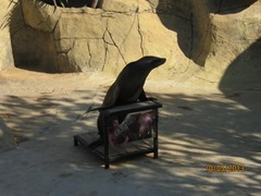 IMG_3453 IMG_3453