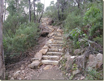 New steps on Cape Hauy Track