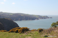 IMG_6034.JPG Photo