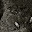 untitled album - 225.jpg