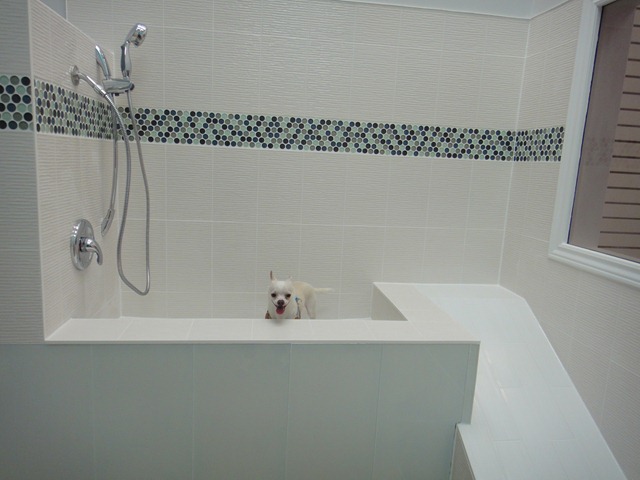 [DSC00923%255B3%255D.jpg]