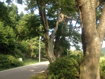 IMG_0625 IMG_0625