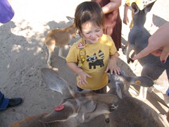 IMG_8722 IMG_8722