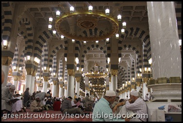 IMG_8426 IMG_8426