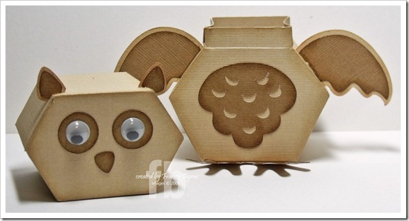 OwlBox5 wm OwlBox5 wm
