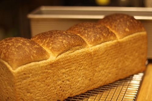 [whole-wheat-toast_033%255B5%255D.jpg]