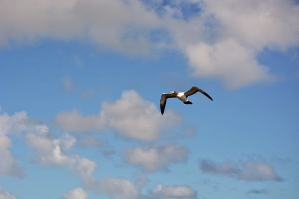 DSC_3345.JPG DSC 3345