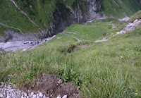CIMG3447.JPG Photo