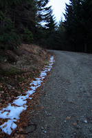 IMG_0510.JPG