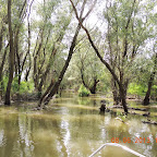 DSCN7225.JPG