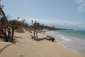 DSC_0867.JPG