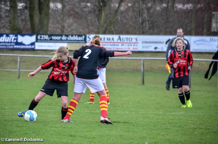 20140222 - HSC D2 - WVV D4 - 008.jpg
