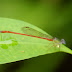 P1170743