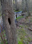 DSC03195_new.jpg