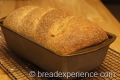 honey-graham-oatmeal-bread026