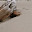 untitled album - 217.jpg