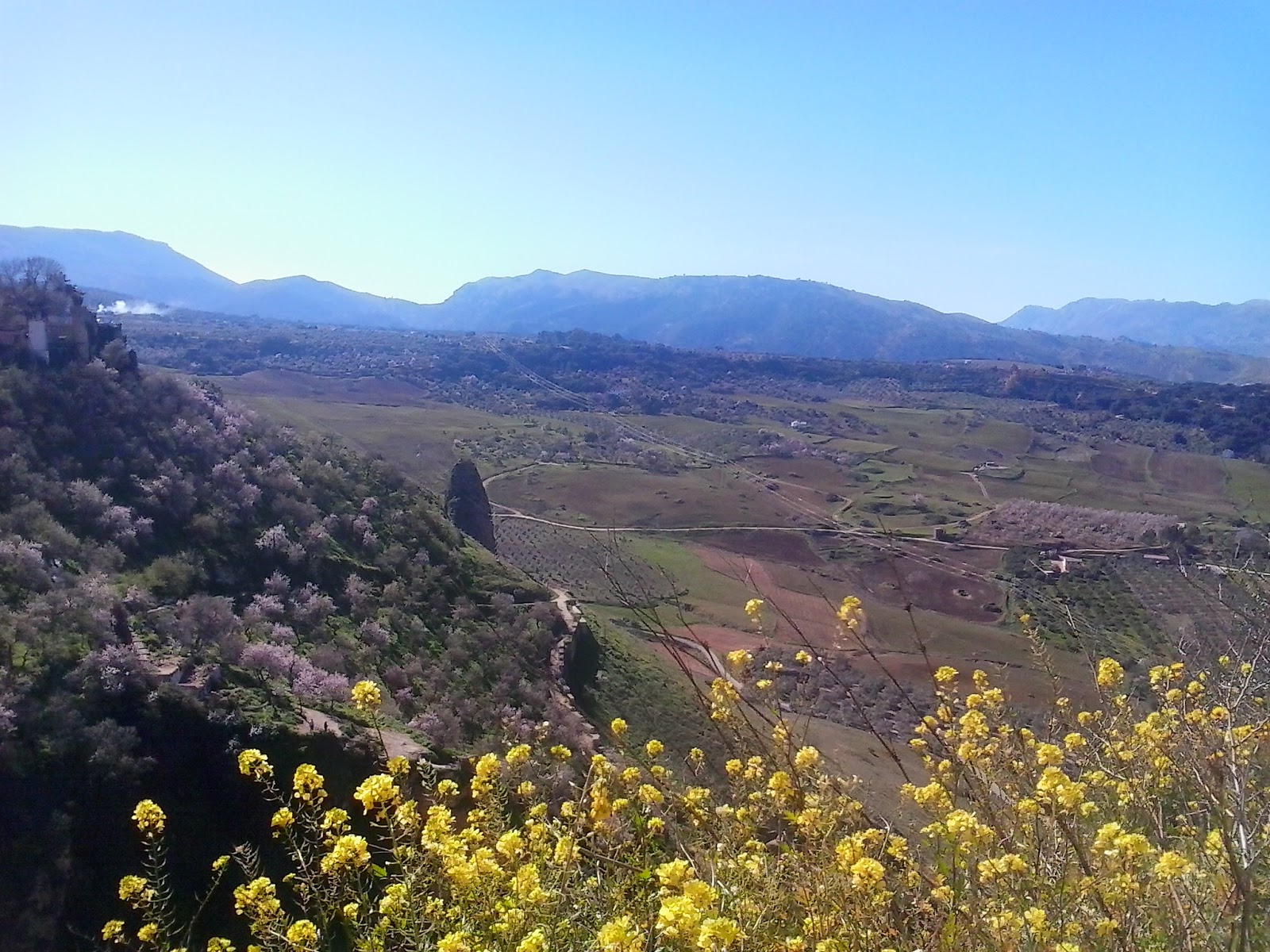 Bears, Beets, Hope Goes to Spain: Spanish countryside. I got the