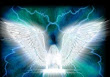 Amazing Angel