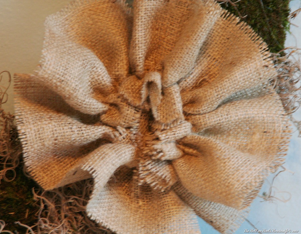 [wreath-and-zoo-2133.jpg]