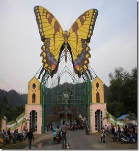 kupu-kupu kupu-kupu