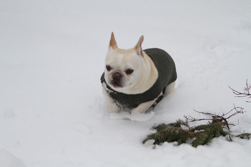 Maybe you're right, Franny.  I'll try to trudge through.