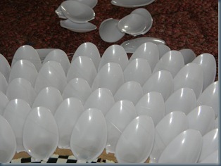 DSCN3314 DSCN3314