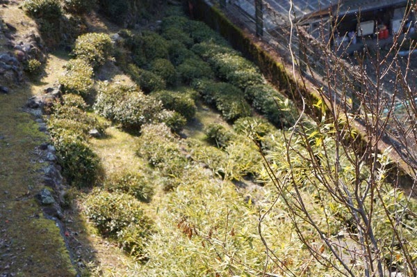 DSC04210.JPG DSC04210