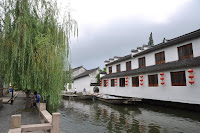 DSC_0555.JPG Photo