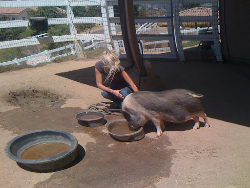They embrace our care and nurturing