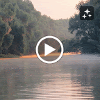 IMG_7178-MOTION.gif