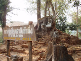 P3082269.JPG