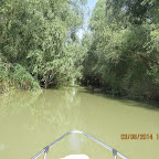 IMG_5753.JPG