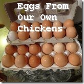Sherieggs Sherieggs