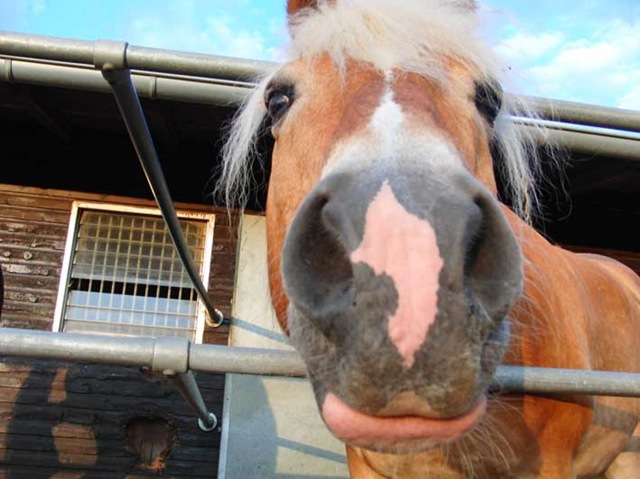 [CIMG7964%255B3%255D.jpg]