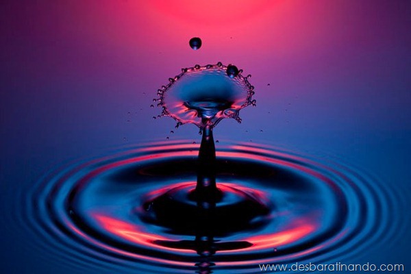 liquid-drop-art-gotas-caindo-foto-velocidade-hora-certa-desbaratinando (22) liquid-drop-art-gotas-caindo-foto-velocidade-hora-certa-desbaratinando (22)