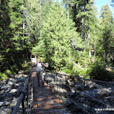 Trilha para Bedwell Lake, Strathcona Park, Vancouver Island, BC, Canadá