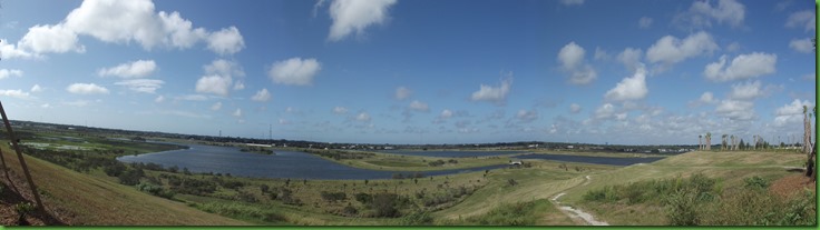 Celery Fields (9)