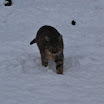 2010 12 16.jpg