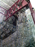 Lily made it to the top and is being lowered down. Lily made it to the top and is being lowered down.