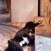 20060819_22_kenting_087.jpg