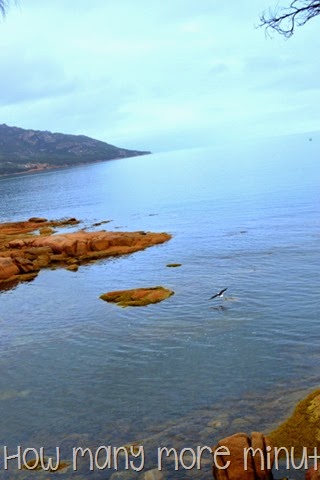 [DSC_3442%255B3%255D.jpg]