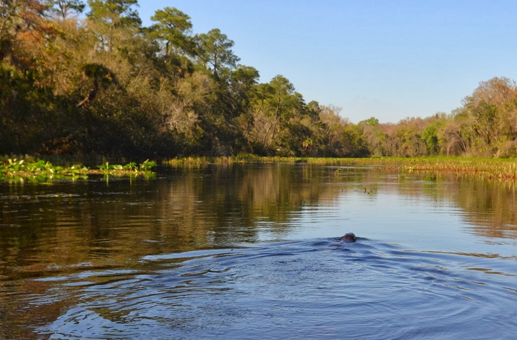 [Spring%2520Run%2520kayak_002%255B4%255D.jpg]