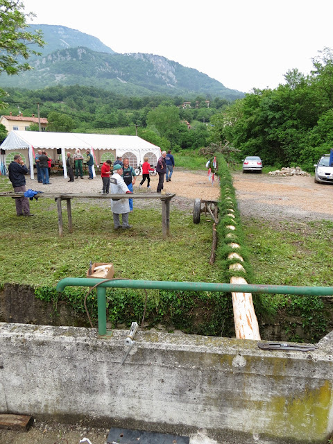 2014-Mlaj-in-kresovanje-33.JPG