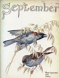 09September34.jpg