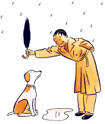 dog-graphics-dog-funny-731406 dog-graphics-dog-funny-731406