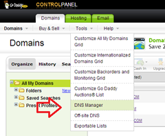 dns manager in godaddy dns manager in godaddy