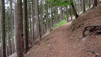 DSCN2130.JPG Photo