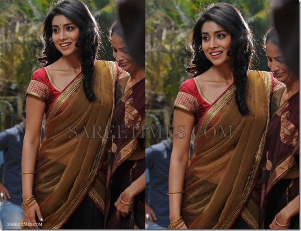 Shriya_Half_Saree