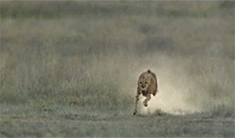 clip_image021 clip_image021
